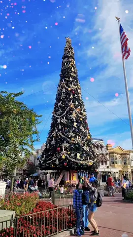 #disneymagicactivate #Disney #MagicKingdom #disneychristmas #carouselofprogress #WaltDisney