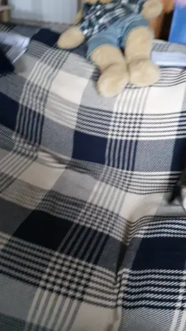 #catsoftiktok #cat #kittensoftiktok