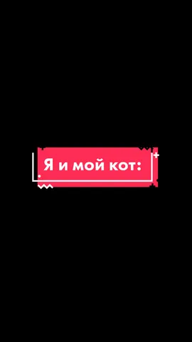 Не ну злопамятный кот 🐱         inst: burmistrov__bdd