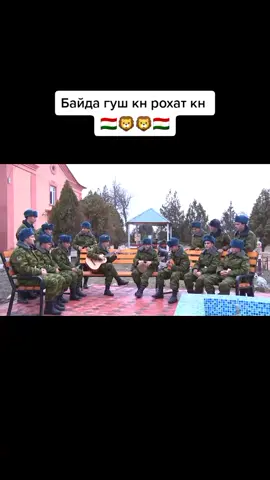 #таджикистан🇹🇯 #россия🇷🇺 #узбекистан🇺🇿