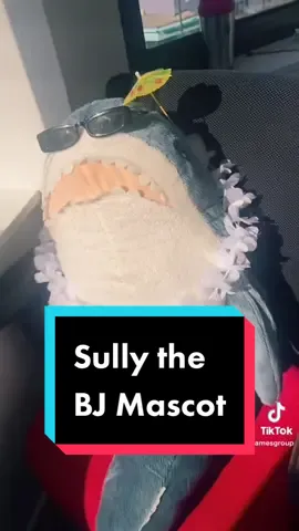 Meet Sully #BJmascot #fyp #foryoupage