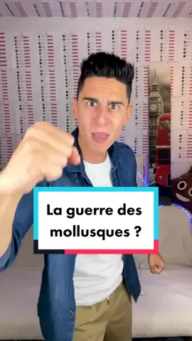 Première fois que je vois ça, je m’en remet pas 😭 Quelqu’un peut m’expliquer ? @Intermarché ? #intermarché