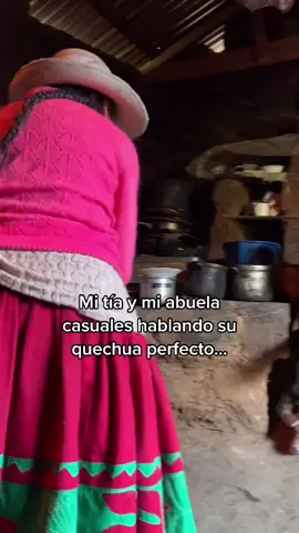 ¿También les ha pasao o solo a mi? 🥲 Mamita Rufi x 100pre mi maestra de quechua csm #VoiceEffects #quechua #peru #trend #runasimi