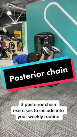A strong posterior will reduce your chance of injury 🦵🏼😊 #Fitness #hamstring #legworkout