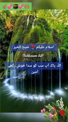 #صبح_الخير #☝🏽💞🕋💞🤲🏽 #foryou #foryoupage #surahrehman #fypシ #chandni🐈💖 #goodvibes