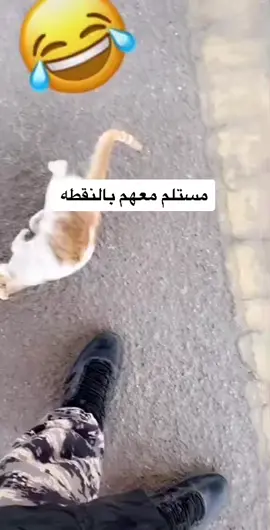 #مستلم_معهم_بالنقطه