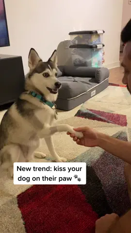 New trend: kiss your dog on their paw 🐾 #happydog #doglover #soromantic #newtrend #kissyourdogontheirpaw
