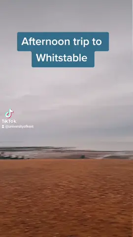 1 of the perks of living in Canterbury...so close to the beach🥰 30 min by bus to Whitstable #uni #JoinOurWorld #TomorrowsWorld #beach #UK #studentlife
