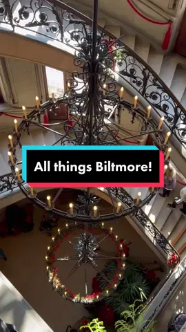 Biltmore Estate needs to be on your bucket list! #nc #biltmore #biltmoreestate #asheville #ashevillenc #northcarolina