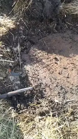 #коп #железо
