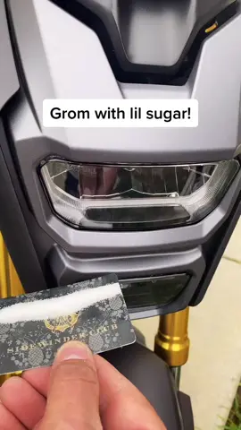 Little sugar make the grom go! 🏍💨💨💨💨💨 #hondagrom #Arianagromday #joke #funny