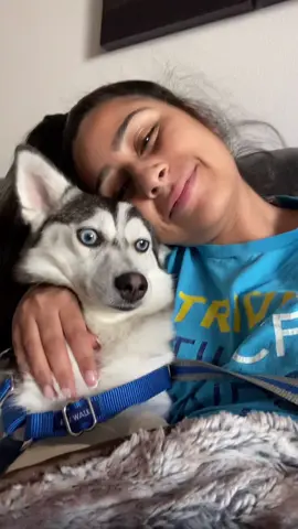 Facts. 🐶❤️