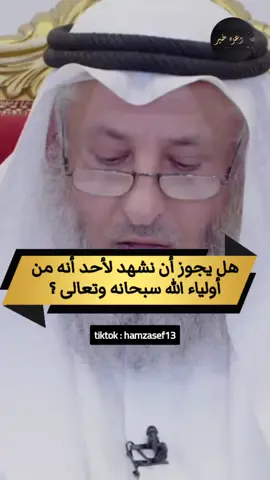 #hamzasef013