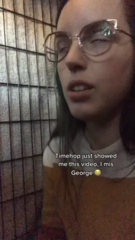 When I made this video George was afraid of kennels likely bc of his time spent in the shelter so it was special that he came in to see me 🥺
