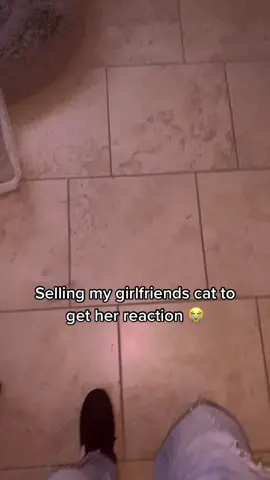 She got mad mad 😡 #ASOSChaoticToCalm #selflove #catsoftiktok #catslovers