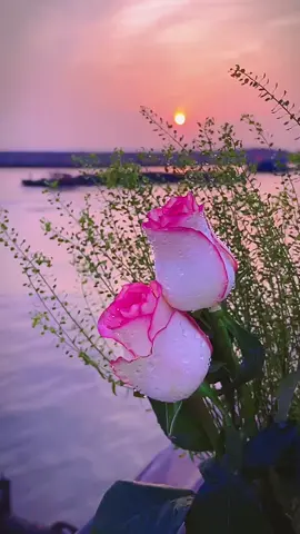 #landscape #blooming #flowers #flowerphotography #nature #scenery #photography #tiktok #foryoupage #beautiful #fyp #floweroftiktok