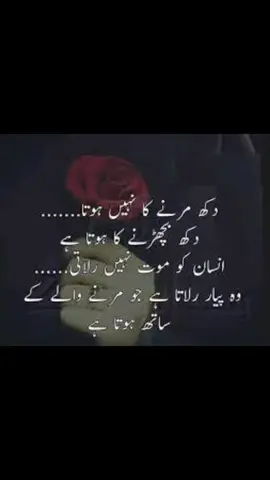 #fypシ #foryoupage #tabbasam321 #fypシ゚viral #☝🏽💞🕋💞🤲🏽 #chandni🐈💖 #hearttouching