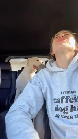 When mom finds new music she likes 🙄 #dayseeker #sleeptalk #humor #funnydogs #whiteboxer #boxerdog #dogsoftiktok #rockmusic