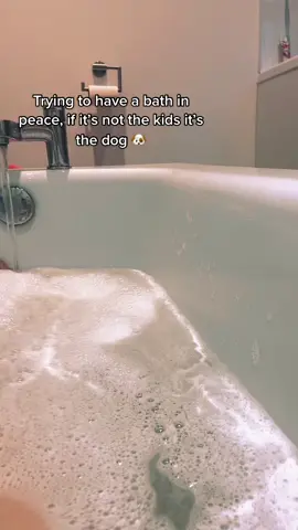 #funny #dog #pup #frenchbulldog #frenchie #frenchiesoftiktok #comedy #hilarious #viral #fyp #ASOSChaosToCalm #VeryPJPortraits #Love #relatable #haha #fypシ