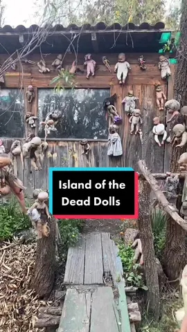 Island of the Dead Dolls (La Isla de la Munecas) #mexicocity #cdmx #xochimilco #dolls #death #offering #scary #haunted #spookyseason