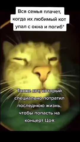 а. #krutoy_4eburek #мем