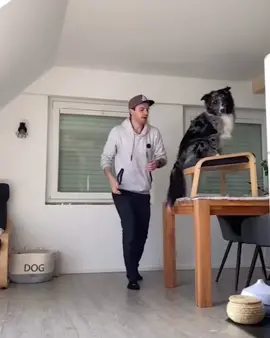 He’s clearly not “falling” for it 🥲 #fyp#viral#knox