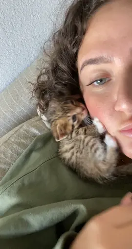 Can’t get close enough 🥰  #fosterkitten #kittensoftiktok #fyp