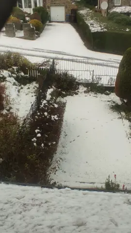 #fyp #foryoupage #tabbasam321 #☝🏽💞🕋💞🤲🏽 #snowstorm #uk #❄️ #funnyvideo #foryou #chandni🐈💖