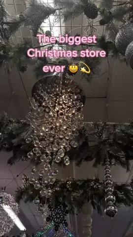 I’ve never seen any store like this omg 🎄💫💗 #DealGuesser #christmasshopping #christmasspirit #christmasdecor