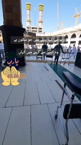 #جنتي_امي #☝🏽💞🕋💞🤲🏽 #ALLAH #یااللہ_اپنی_رحمت_فرماآمین #foryoupage #tabbasam321 #makkahmadinah🕋
