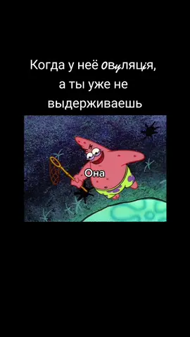 #губкабоб #патрик #отношения #овуляція #парнипоймут