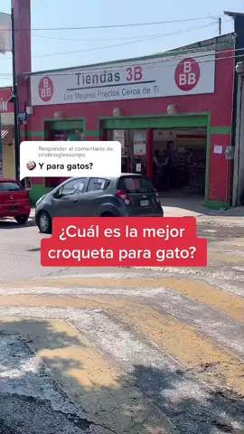 Responder a @cristinagleasonpo ¿cuál es la mejor croqueta para gato?#gatos#3B#gatostiktok#gatosdetiktok#alimentacion#croquetas#nutricion