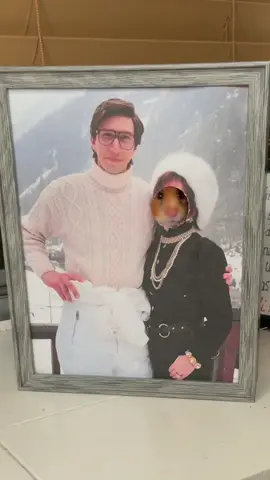 #houseofgucci #hamster