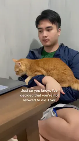 a man and a cat #fyp #foryou #viral #PetsOfTikTok