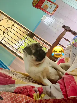 Giận rồi