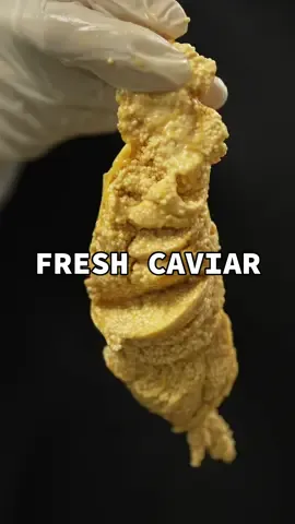 Fresh caviar #caviar #russian