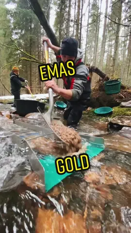 Winter goldhunting #goldhunting #goldwaschen #goldprospecting #emas #oro #золото #vàng #gold #treasurehunt #challengeme #fypage