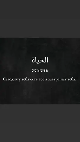 ❤☝️#ислам_религия_мира_добра #исламрекомендации #рекомендации #смерть #мирскаяжизнь #Аллахуакбар