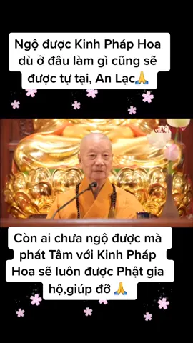 #kinhphaphoa #chuahuenghiem #thaythichtriquang #nammophatbonsuthichcamauni #🙏🙏🙏 #phatphapnhiemmau #phatphapvobien #PHATPHAP #kinh #2021