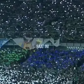 Viking Bonek Kita Saudara🍻💙💚 #PersibDay #VikingBonek