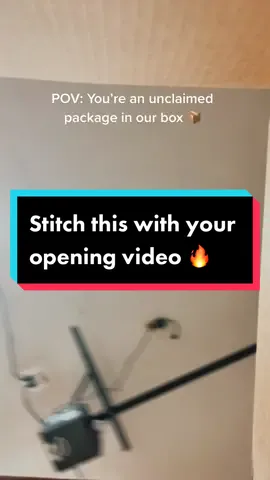 Stitch this with your opening video ❤️ #pov #package #opening #unboxing #foryou #mystery #boxing #packingorders #mysterybox #lostmail #PawlidayPics