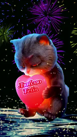 Люблю тебя ❤️‍🔥 #рек #рекомендации #реки #поздравляйка_online #люблю #люблютебя