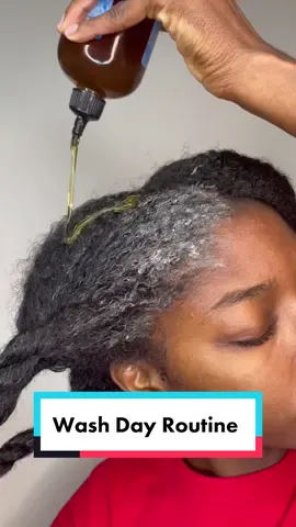 Made this for Instagram but posting here too 😊 #ShareTheMagic #PawlidayPics #washdayroutinetips #naturalhairwashroutine