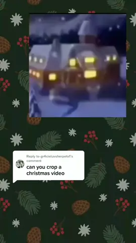 Reply to @gr4cieluvsherpets1 merry christmas 😁 #cornonthecrop #croppedvideo #christmas #merrychristmas #santa #fyp