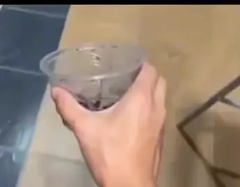 #cup #spider #arachnophobia