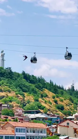 Столица Грузии Тбилиси — город гостеприимный и полный радости🥰🤗. #foryou #tbilisi #georgia🇬🇪