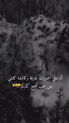 وجهكم البريء مثلو في على غيري انا خباثتكم كاشفتا بس بحب احضر الحلقة لاخيرة من تمثيلكم الفاشل 😂منافقين ✌️اكسبلووووررررر✌️👑