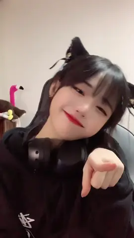 귤먹는 냥