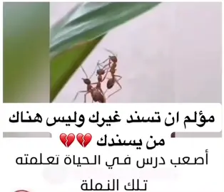 #اكسبلور