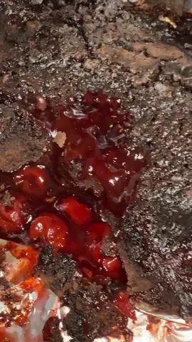Chocolate Cherry Cobbler #dutchovencooking#dutchoven#chocolate#cherry#randysrubs#itdontsuck#fypシ #fypシ゚viral #foryou#charcoal#spriteder